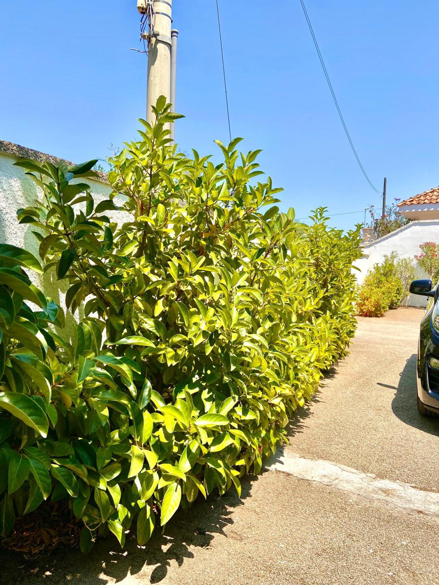B&B Costa Azzurra Porto Cesareo Kültér fotó